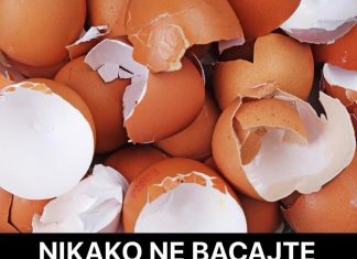 NIKAKO NE BACAJTE LJUSKE OD JAJA, POSLUŽIĆE VAM ZA VAŽNU STVAR: NE POSTOJI BOLJE ĐUBRIVO ZA BILJKE, ODUŠEVIĆETE SE