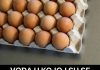 VODA U KOJOJ SU SE KUVALA JAJA JE PRAVO BLAGO, NIPOŠTO NE BACAJTE: Kad čujete ZAŠTO, koristićete je dok ste živi
