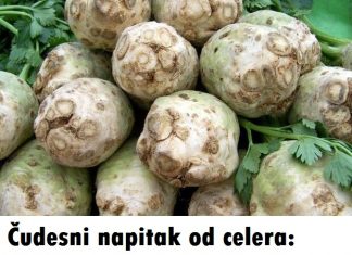 ČUDESNI NAPITAK OD CELERA: TOPI KAMENAC, UKLANJA HOLESTEROL I OLAKŠAVA PROBAVU