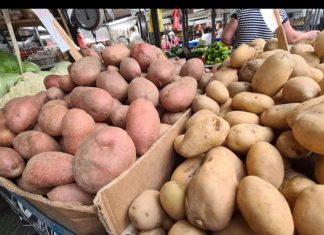 STRUČNJACI OTKRILI DA LI JE BOLJI CRVENI ILI BIJELI KROMPIR: Razlika je velika, a ovaj je zdraviji