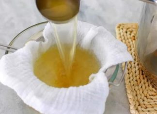 “TEČNO ZLATO” ZA ZDRAVA CRIJEVA I JAKE ZGLOBOVE: Ledena supica krcata KOLAGENOM I VITAMINIMA, najbolja je kad su vrućine