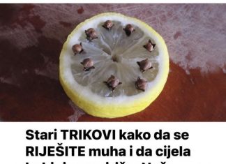Stari TRIKOVI kako da se RIJEŠITE muha i da cijela kuhinja zamiriše: Naše bake nisu imale mreže na prozorima i tako su se mogle nositi sa insektima!