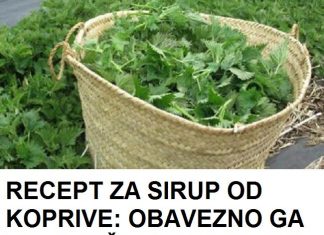 RECEPT ZA SIRUP OD KOPRIVE: OBAVEZNO GA ZABILJEŽITE JE SVI KOJI SU GA PROBALI SU SE ODUSEVILI!