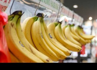 AKO IMATE OVO OBOLJENJE, NIKAKO NEMOJTE JESTI BANANE! Odmah provjerite, izazivaju katastrofu