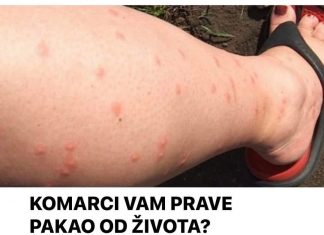 KOMARCI VAM PRAVE PAKAO OD ŽIVOTA? Samo isijecite OVO VOĆE na pola i ostavite u sobi, VIŠE IH NIKADA NEĆETE VIDJETI BLIZU!