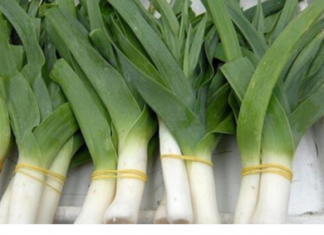 ZA BUBREGE, JETRU, KRV I KRVNE ŽILE: Kad pročitate koliko je zdrav jesćete ga svaki dan…