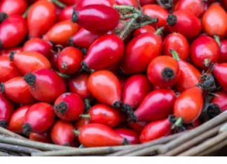 SVEMOGUĆI ŠIPAK: Kad vidite šta sve liječi, odmah ćete otići na pijacu da kupite ZA LIJEKA