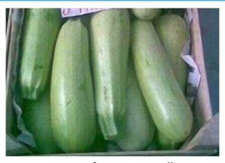 OVO POVRĆE REGULIŠE PROBAVU I ČISTI CRIJEVA OD TOKSINA: Evo Kako Se Priprema, Treba Vam Samo 10 Minuta