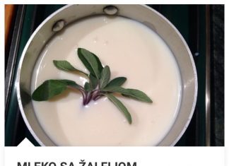 MLEKO SA ŽALFIJOM OSLOBODIĆE VAS OD SUVOG NAPORNOG KAŠLJA. RECEPT KOJI VREDI!