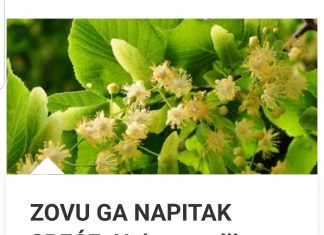 ZOVU GA NAPITAK SREĆE: Najpoznatiji Travar 20 Stoljeća Otkriva Recept Za Čaj Koji Eliminiše Nervozu Organizma!