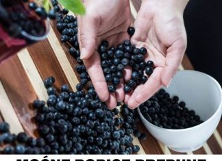 MOĆNE BOBICE PREPUNE ANTIOKSIDANATA – ARONIJA JE RIZNICA ZDRAVLJA: Najefikasnija je ako se konzumira na ovaj način!