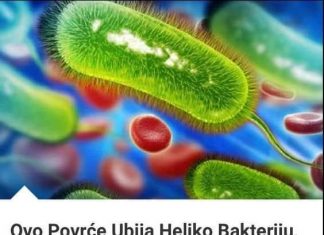Efikasnost Brokolija u Prevenciji Želučane Kiseline i Karcinoma Želuca: Ključna Količina od 70 Grama