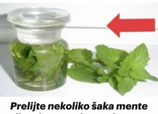 Prirodno rješenje za bolne noge, migrene i prehlade: Prelijte nekoliko šaka mente uljem i zapamtite ovaj recept za cijeli život