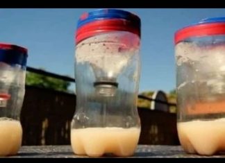 ZAMKA ZA KOMARCE – Napravite je sami i riješite se ovih malih napasti u toplim danima!