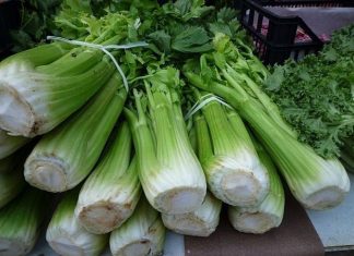 Izuzetno zdravo i ljekovito: Sok ove biljke liječi reumu iznutra, kao i visok pritisak i bolesti bubrega