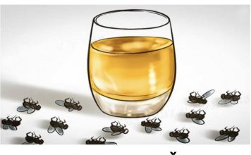 ZAUVIJEK SE RIJEŠITE SVIH MUHA I KOMARACA: Ne trebate trošiti pare, trebaju vam samo 3 SASTOJKA!