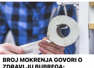 BROJ MOKRENJA GOVORI O ZDRAVLJU BUBREGA: Ako dnevno idete u WC više od OVOG BROJA, u velikom ste PROBLEMU