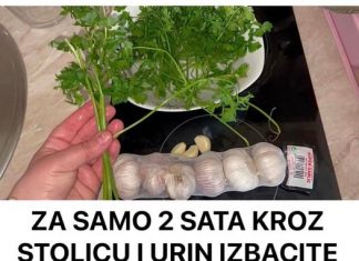 ZA SAMO 2 SATA KROZ STOLICU I URIN IZBACITE SVE STO SMETA ZDRAVOM ORGANIZMU! Univerzalni LIJEK!