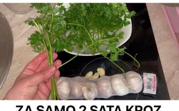 ZA SAMO 2 SATA KROZ STOLICU I URIN IZBACITE SVE STO SMETA ZDRAVOM ORGANIZMU! Univerzalni LIJEK!