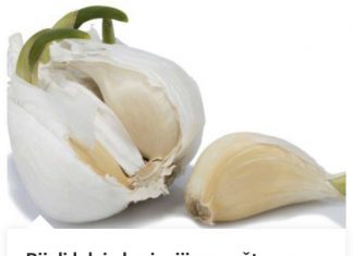 Bijeli luk je korisniji nego što možete i zamisliti. IZLIJEČITE NAJGORE BOLESTI UZ POMOĆ OVOG TRIKA!