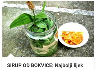 SIRUP OD BOKVICE: Najbolji lijek za sve plućne bolesti (RECEPT)