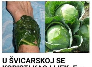 U ŠVICARSKOJ SE KORISTI KAO LIJEK: Evo šta obloga od lista kupusa čini za vaše zdravlje