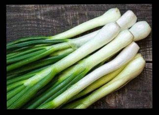 DOKTORICA OTKRILA KO NE SMIJE DA JEDE MLADI LUK: Ljudi sa ovom dijagozom moraju hitno da ga izbace iz ishrane