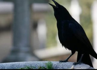 SIGNALI KOJE PREMINULE OSOBE ŠALJU: Poznati medij tvrdi da je to ZNAK da su tu i da nam žele nešto poručiti