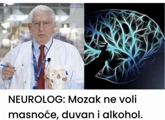 NEUROLOG: Mozak ne voli masnoće, duvan i alkohol. Ali on voli OVO i svi bi trebali znati za to!