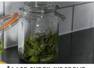 ČAJ OD OVE BILJKE SE PIJE PRED SPAVANJE: Uspavaće vas kao malu bebu i obrisati nervozu u sekundi – morate probati