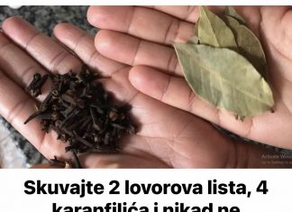 Skuvajte 2 lovorova lista, 4 karanfilića i nikad ne zaboravite ovaj recept: SPAS ZA OTOK, BOL I SLAB IMUNITET!