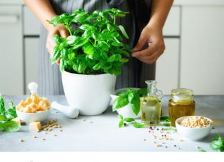 KUĆA KOJA IMA OVU BILKU NE MOŽE BITI SIROMAŠNA