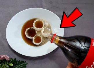 Uzmite ljuske od jaja, običnu KOLU i sačuvajte ovaj domaći trik: Koristim ga godinama i preporučujem svima