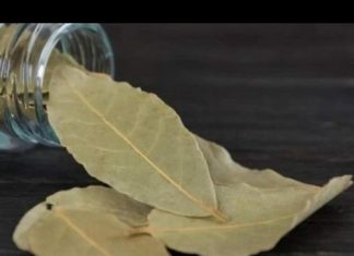 Stavite lovorov list ispod jastuka još večeras: Ujutru ćete biti iznenađeni efektom