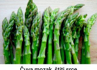 Zelena špargla priprema i upotreba za zdravlje
