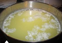 Prirodni eliksir za zdravlje i vitalnost: Kozja surutka