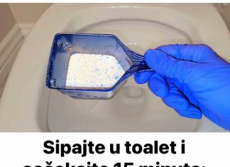 Sipajte u toalet i sačekajte 15 minuta: Domaći trik koji bi SVI trebali znati