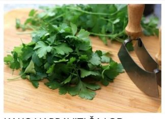 EVO KAKO NAPRAVITI ČAJ OD PERŠUNA KOJI TOPI KILOGRAME: Pije se samo 5 dana, a rezultati su fantastični (RECEPT)