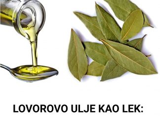 Eterično ulje lovora: Ljekovitost i recepti za zdravlje