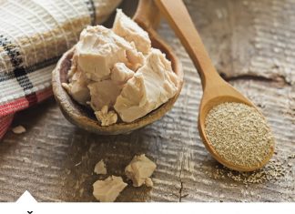 Pivski kvasac u prahu kako se upotrebljava