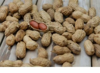 Istina o kikirikiju- Jedete ga, a ne znate šta radi vašem organizmu!