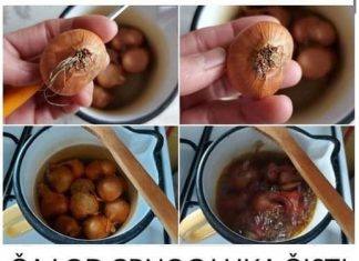 ČAJ OD CRNOG LUKA ČISTI PLUĆA ZA 3 DANA: Dodajte ovu voćku i bit će UKUSAN KAO SOK, evo kako se priprema