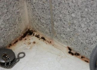 Moćnija od sirćeta i sode bikarbone: Ova namirnica nema šta ne čisti, a uništava kamenac i fleke