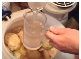 Rasol: Sve dobrobiti starog narodnog leka