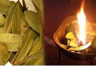 Saznajte šta se dešava kada zapalite lovorov list: Preokret u prostoru i efekti koje ne smete propustiti!