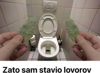Evo zašto sam stavio lovorov list u kupatilo: Znale su već naše bake!