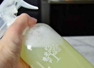 U Kući Više Nećete Naći Paukove, Muhe Ili Prehrambene Moljce: Jednostavno Kućno Rješenje Koje Će Ih TRAJNO 0tjerati (RECEPT)