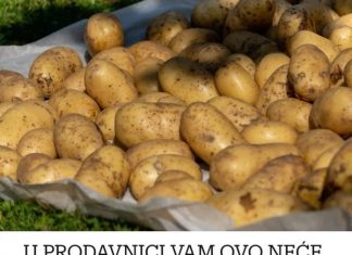 U PRODAVNICI VAM OVO NEĆE REĆI: Zahvaljujući ovom triku, krompir ne nikne zimi i traje do sledeće berbe!