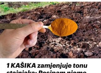 1 KAŠIKA ZAMJENJUJE TONU STAJNJAKA! Pospem njome cijelu baštu – i onda samo imam vremena da berem koliko rodi!
