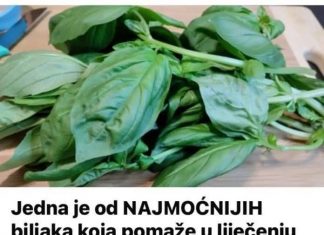 JEDNA OD NAJMOĆNIJIH BILJAKA ZA CIJELO TIJELO – OD GLAVE DO PETE!